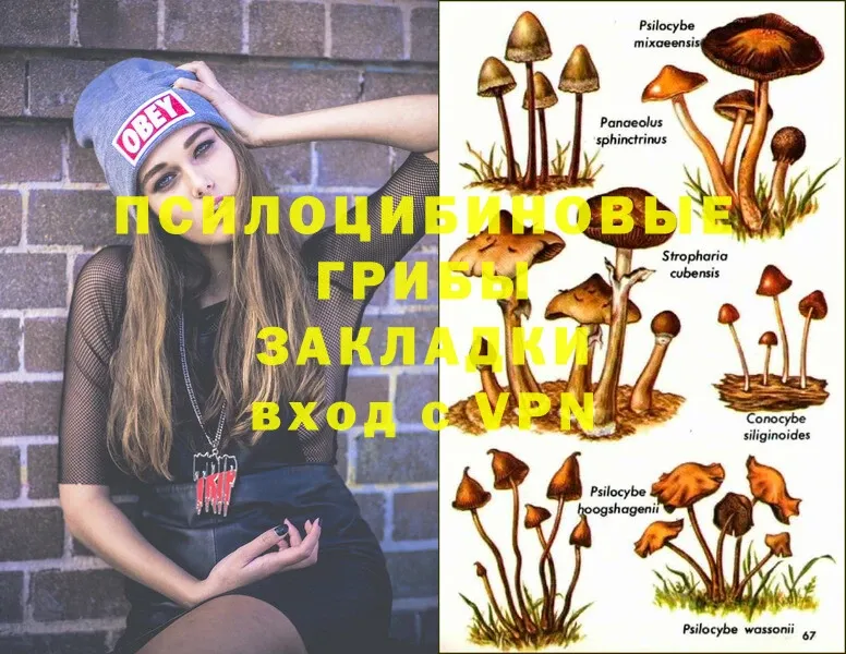 Псилоцибиновые грибы Magic Shrooms  Полтавская 